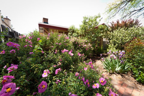 National Hotel Complex Bendigo - Accommodation Georgetown 21
