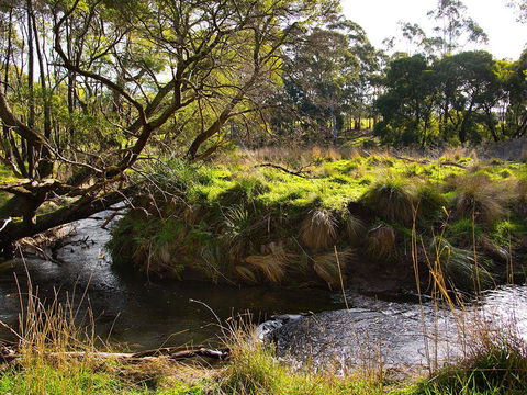 Green Gully House - Accommodation Georgetown 5