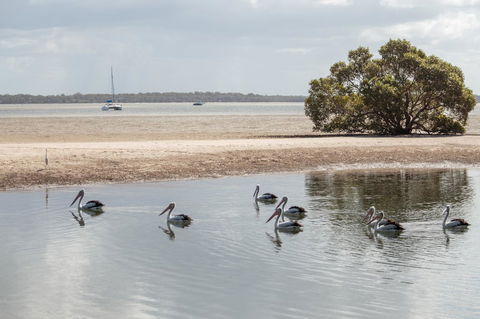 BIG4 Breeze Holiday Parks - Rainbow Beach - Accommodation Georgetown 32