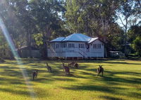 Book Peregian Beach Accommodation Vacations Accommodation Georgetown Accommodation Georgetown