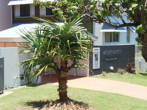 Whale Watch Ocean Beach Resort - Accommodation Georgetown 15
