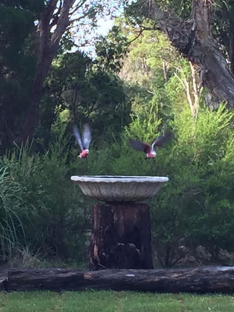 Castaways Moreton Island - Accommodation Georgetown 8