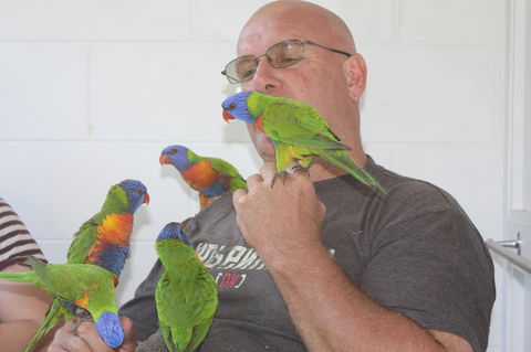 Amaroo On Mandalay, Magnetic Island - Accommodation Georgetown 33