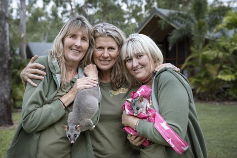 Airlie Beach Eco Cabins - Adults Only - Accommodation Georgetown 23