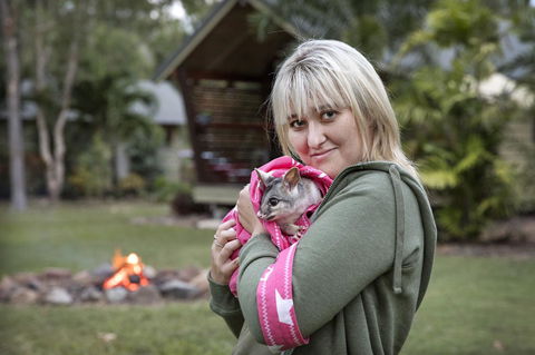 Airlie Beach Eco Cabins - Adults Only - Accommodation Georgetown 31