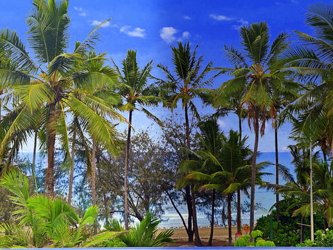 By The Sea Port Douglas - Accommodation Georgetown 3