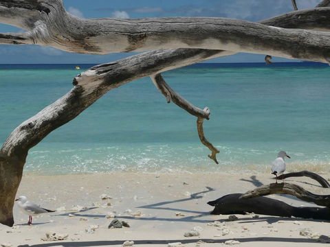 Beach Club Port Douglas Luxury Apartments - Accommodation Georgetown 23