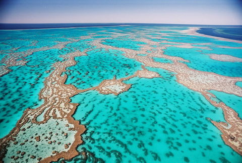 Poinciana 112 - Accommodation Georgetown 20