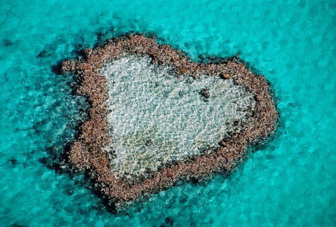 Poinciana 112 - Accommodation Georgetown 21