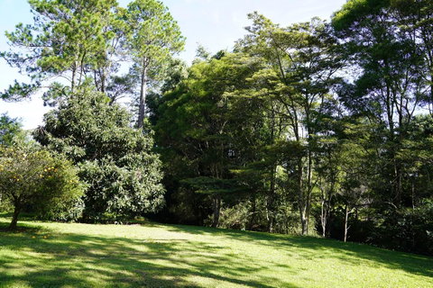 McCarthy Grove Maleny - Accommodation Georgetown 2