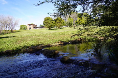 McCarthy Grove Maleny - Accommodation Georgetown 5