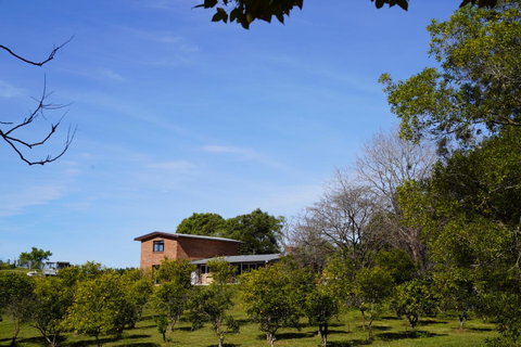 McCarthy Grove Maleny - Accommodation Georgetown 4