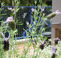 Surfers Beach Resort One - Accommodation Georgetown