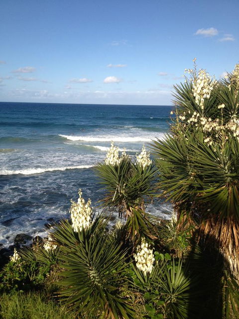 Oceania On Burleigh Beach - Accommodation Georgetown 23