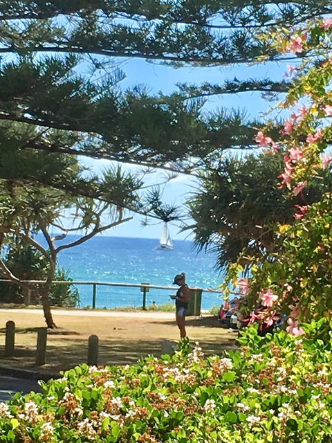 Oceania On Burleigh Beach - Accommodation Georgetown 25