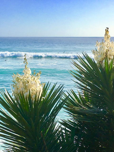 Oceania On Burleigh Beach - Accommodation Georgetown 21