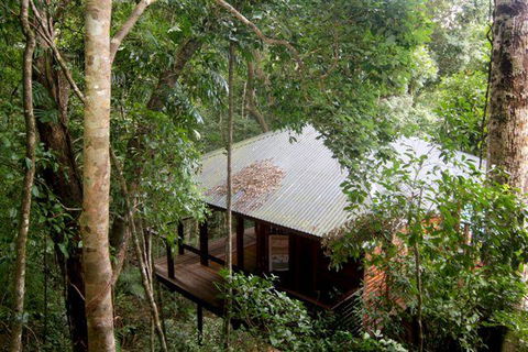 Cairns Rainforest Retreat - Accommodation Georgetown 0