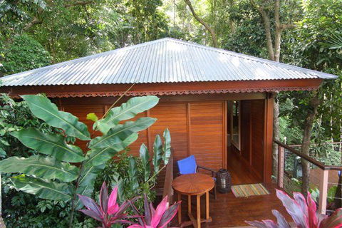 Cairns Rainforest Retreat - Accommodation Georgetown 5