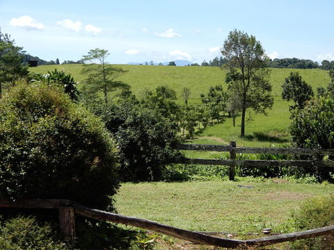 Malanda Manor Guesthouse - Accommodation Georgetown 17