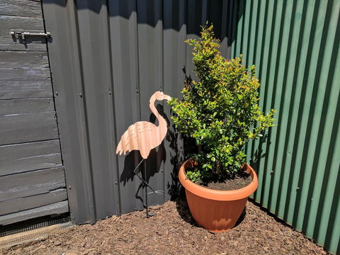 Lilly Pilly House - Accommodation Georgetown 10