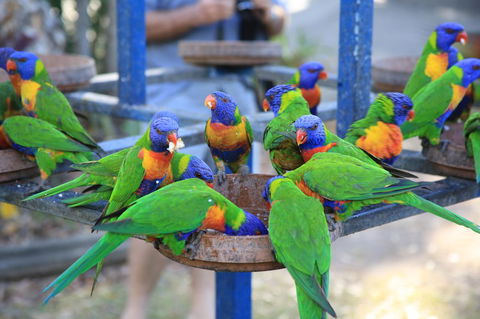 Tasman Holiday Parks - Airlie Beach - Accommodation Georgetown 23