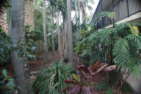 Best Western Airport 85 Motel - Accommodation Georgetown 34