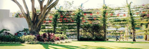 Vine Apartments South Brisbane - Accommodation Georgetown 19