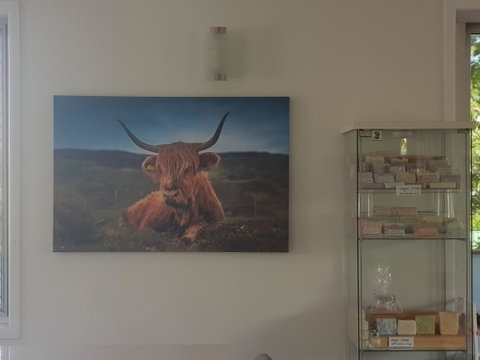 Highland House - Accommodation Georgetown 4