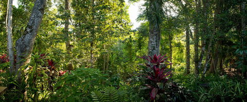Sharlynn By The River - Accommodation Georgetown 5