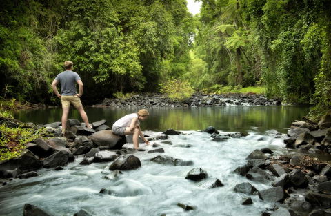 Sharlynn By The River - Accommodation Georgetown 25
