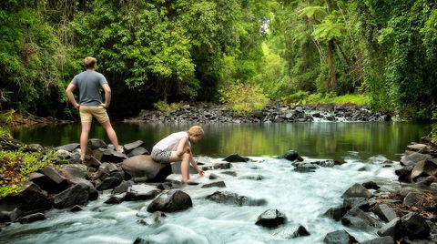 Sharlynn By The River - Accommodation Georgetown 6