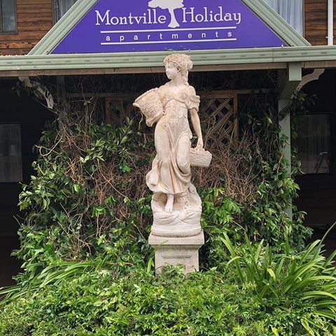 Montville Holiday Apartments - Accommodation Georgetown 6