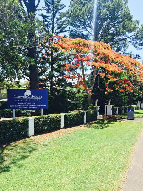 Montville Holiday Apartments - Accommodation Georgetown 22