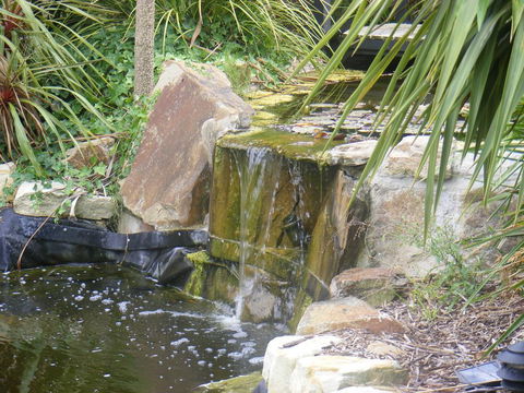 Weeroona Bed And Breakfast - Accommodation Georgetown 2