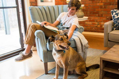 Whitewood Cottage - Secluded Spa - Accommodation Georgetown 1