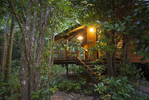 Wildwood - Accommodation Georgetown 0