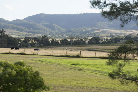 Windarra Lodge - Accommodation Georgetown 3
