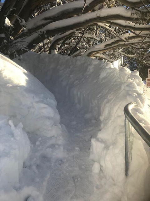 Winterbrook Chalet - Accommodation Georgetown 1