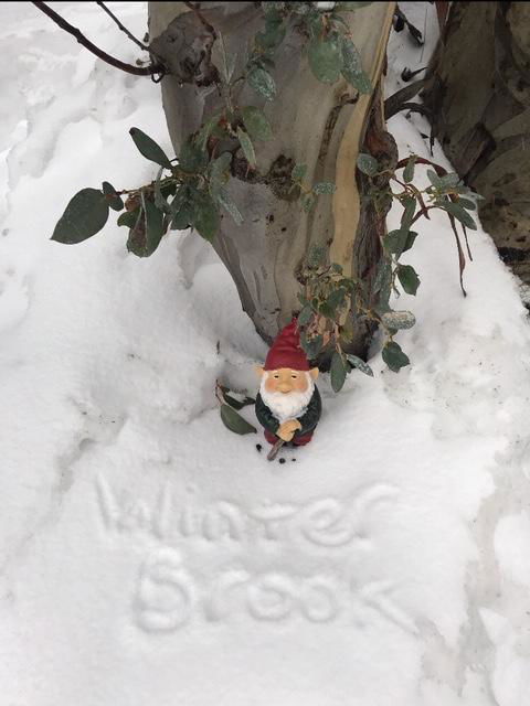 Winterbrook Chalet - Accommodation Georgetown 3