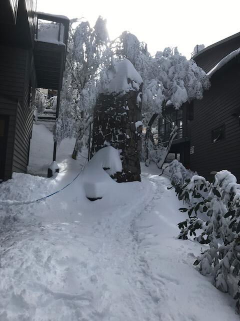 Winterbrook Chalet - Accommodation Georgetown 2