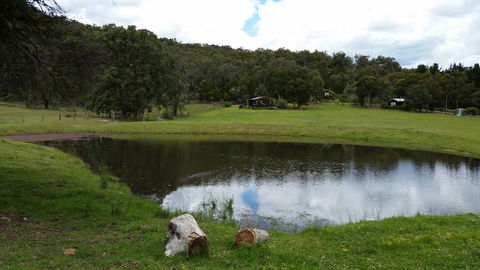 Wisteria Cottage - Accommodation Georgetown 1