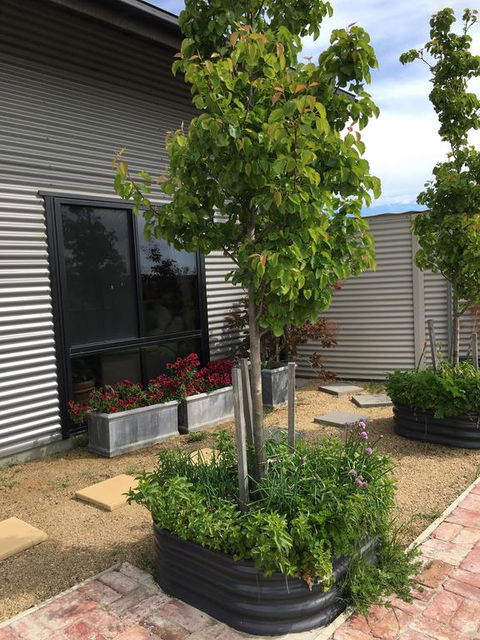 Woolamai Dreaming - Accommodation Georgetown 2