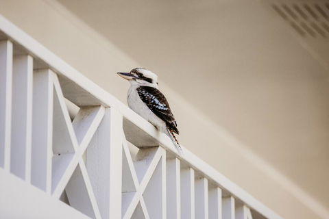 Yeppoon Surfside Motel - Accommodation Georgetown 2