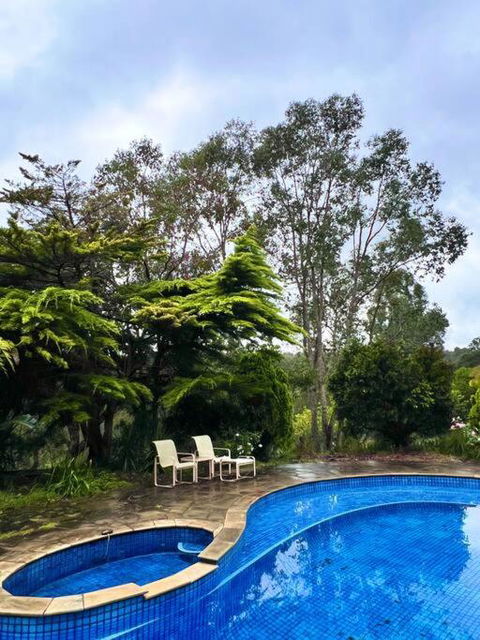 A Lovely Pool House In Forest - Accommodation Georgetown 2