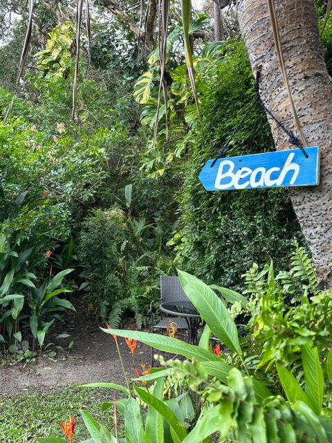 Absolute Beach Front Home -Dogs, Surf, Relax, Bush - Accommodation Georgetown 2