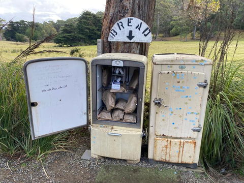 Adina Tiny House Bruny Island - Accommodation Georgetown 3