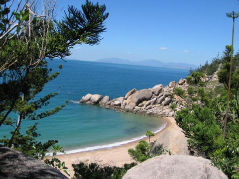 AFFORDABLE ISLAND ESCAPE! Queen Studio, Nelly Bay - Accommodation Georgetown 3