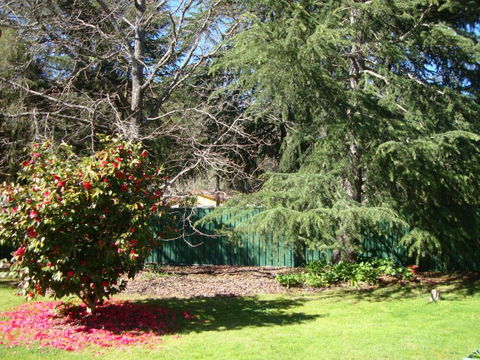 Ageri Holiday House - Accommodation Georgetown 3