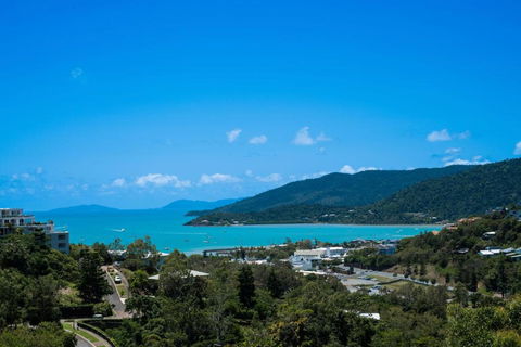 Airlie Nights - Accommodation Georgetown 1