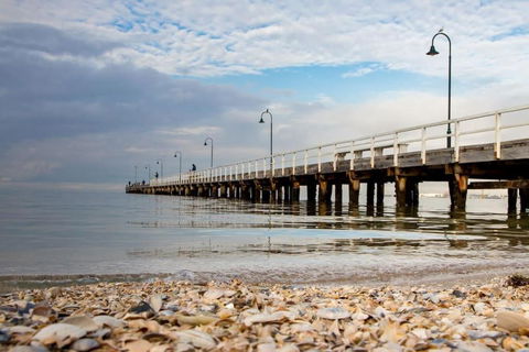 Albert Park Magnificence Position Perfect MLane - Accommodation Georgetown 2